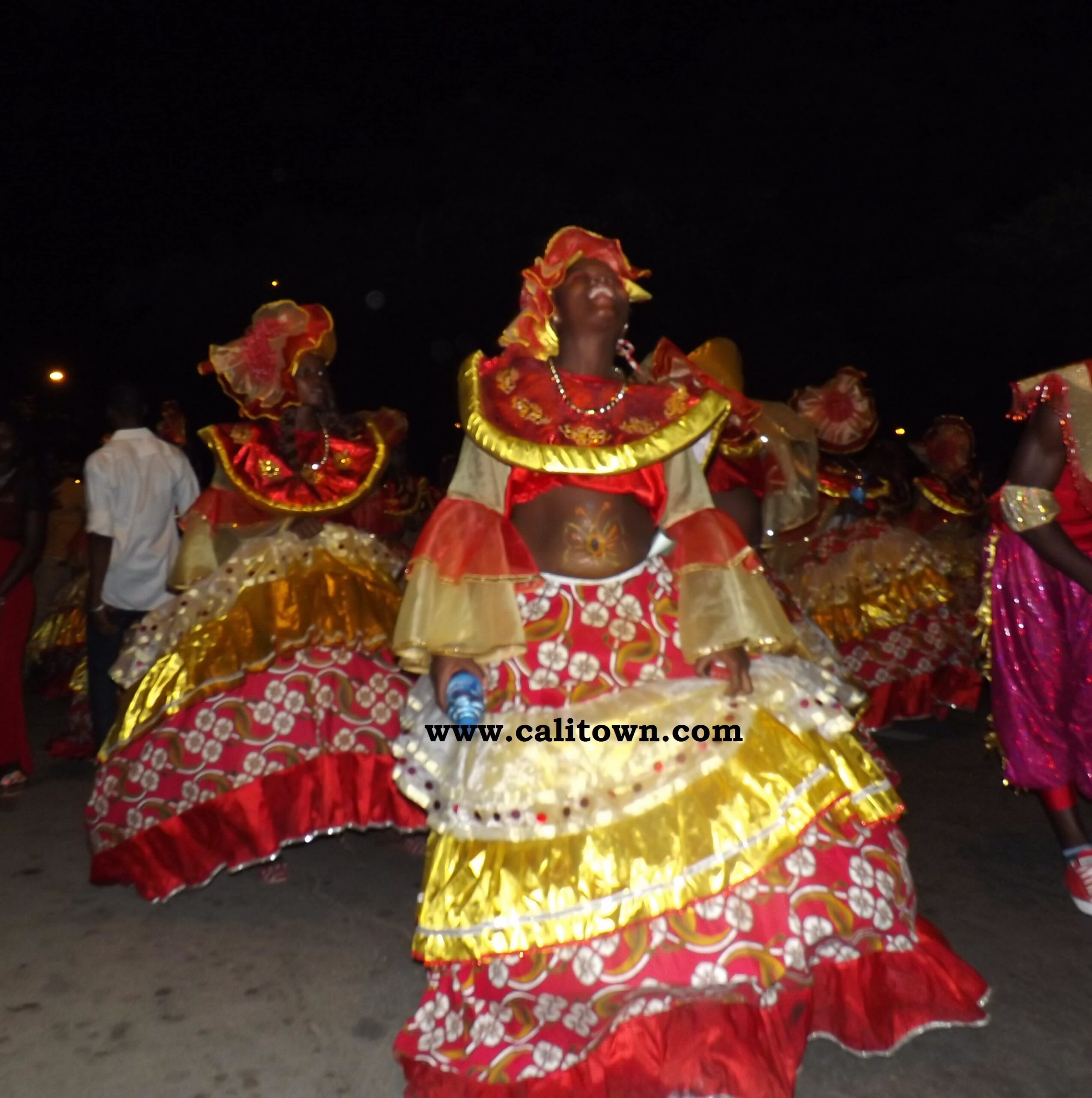 Carnival Calabar, 2013