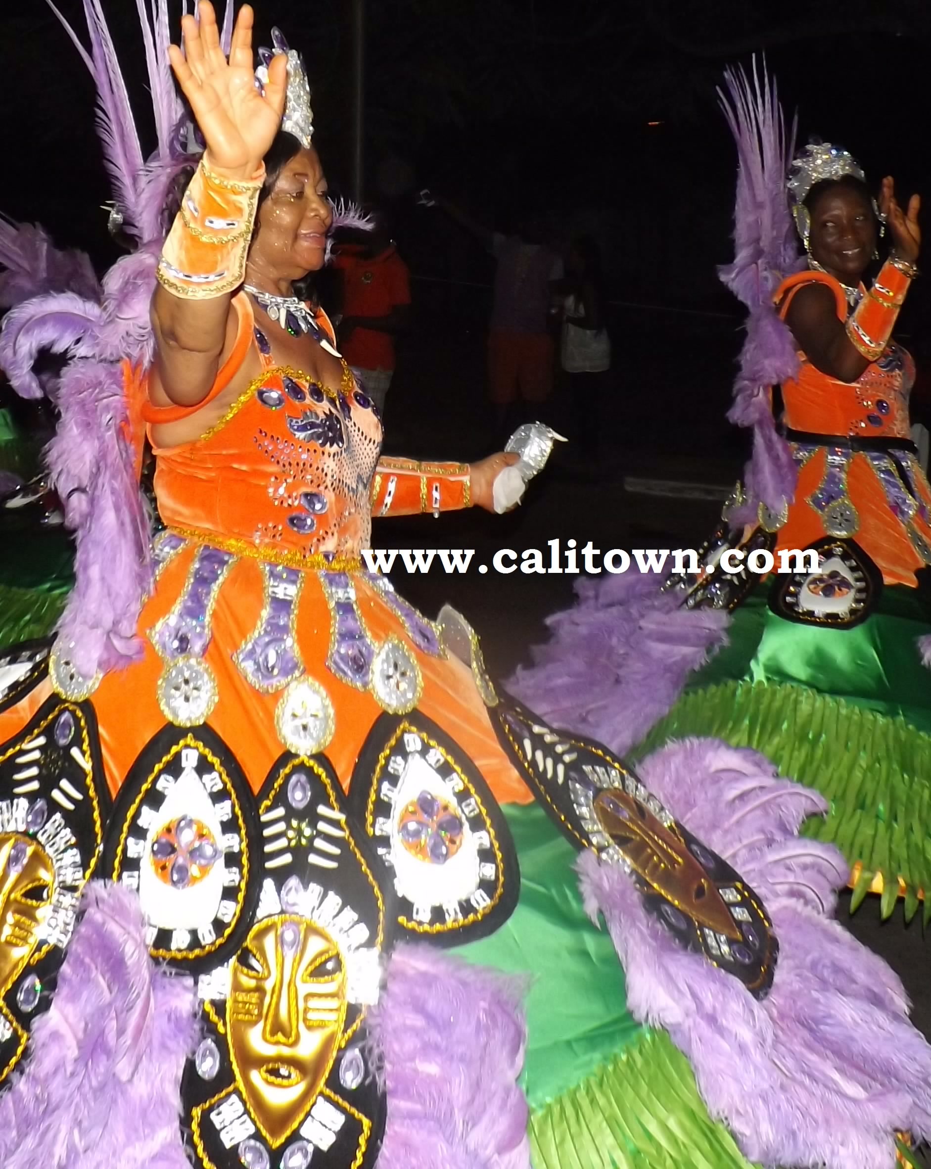 Carnival Calabar, 2013