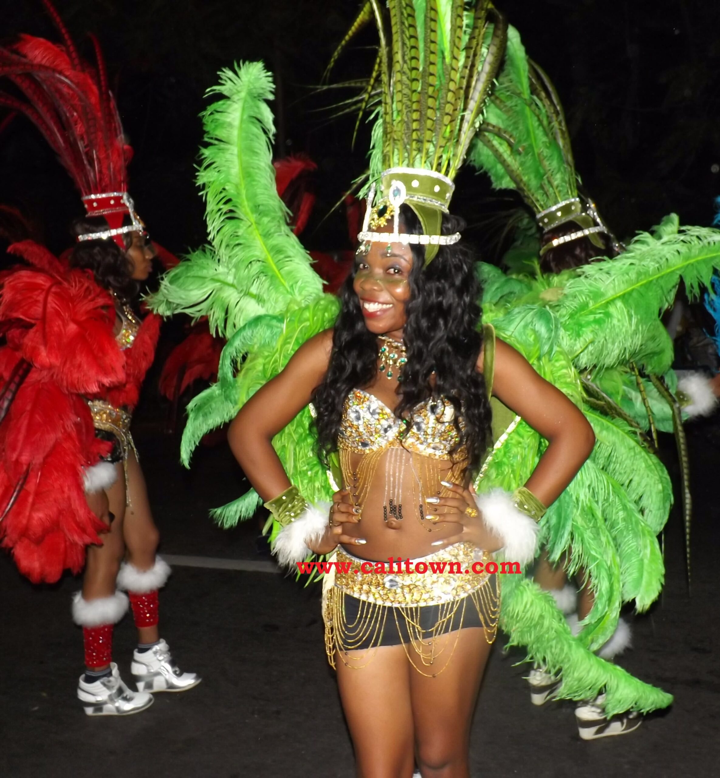 Carnival Calabar, 2013