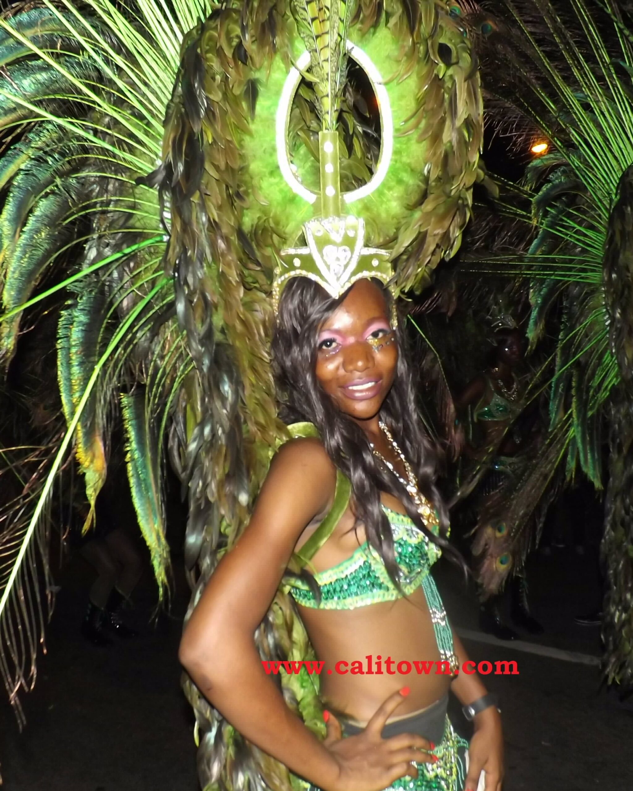 Carnival Calabar, 2013