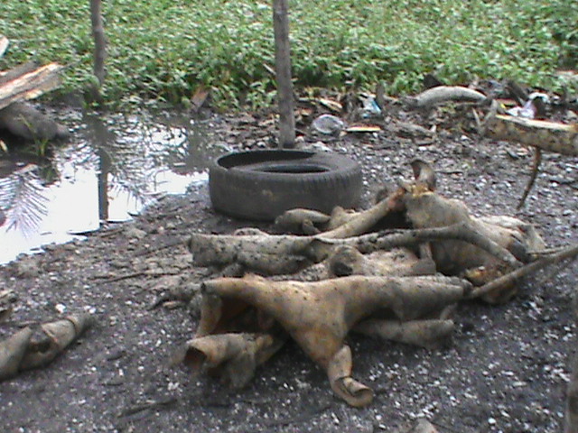 Cow hide at Ika ika Oqua market
