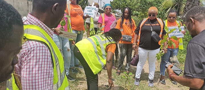 Group Plants 500 Trees, Hosts Climate Change Training In Ugep